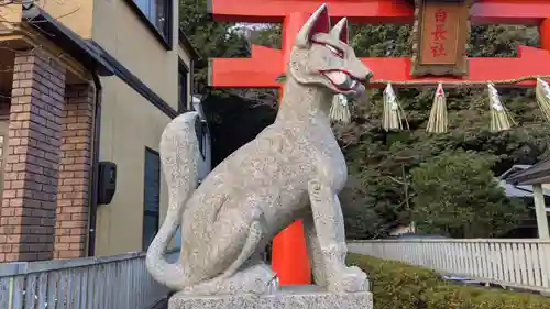 白長社の狛犬