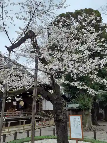 靖國神社の自然