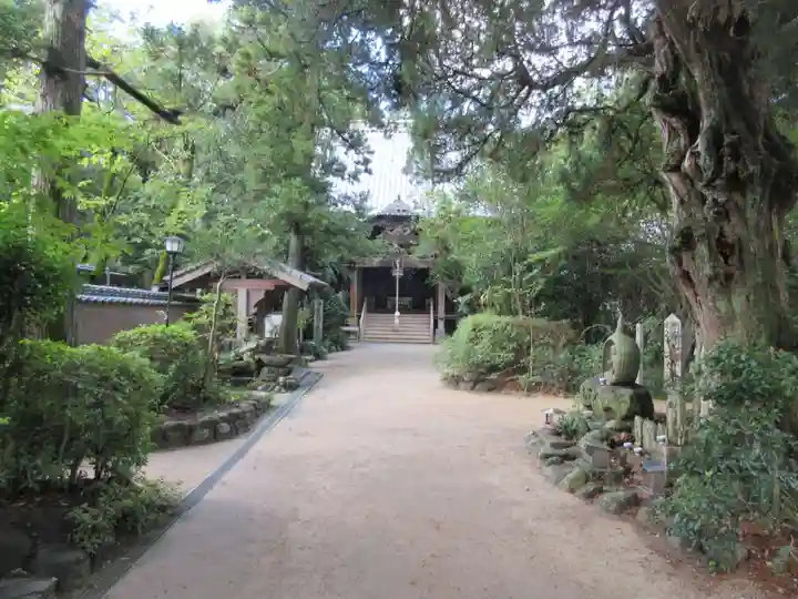 浄瑠璃寺(愛媛県)