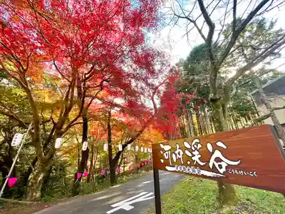 長徳寺(三重県)