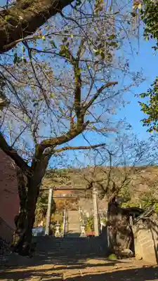 與瀬神社（与瀬神社）(神奈川県)