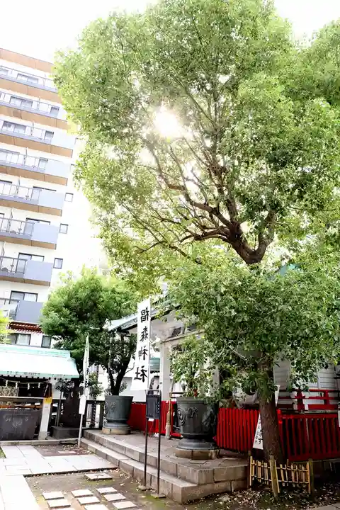 椙森神社の本殿・本堂