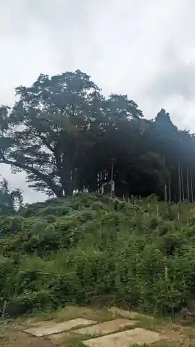 浅間神社(東京都)