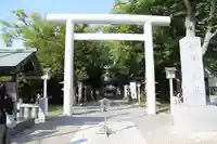 新琴似神社の鳥居
