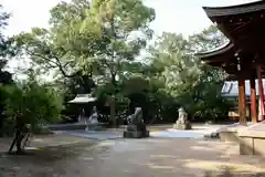 奥畑大歳神社の自然