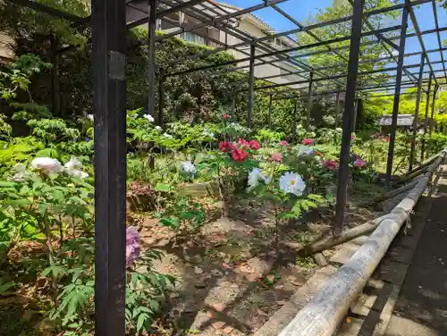 乙訓寺(京都府)