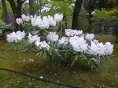 仁和寺(京都府)