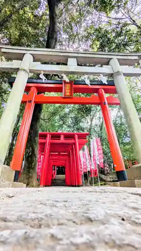 武蔵一宮氷川神社の鳥居