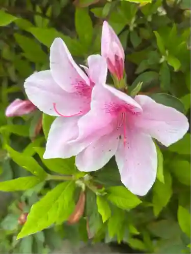 潮田神社(神奈川県)