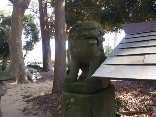 井上神社の狛犬