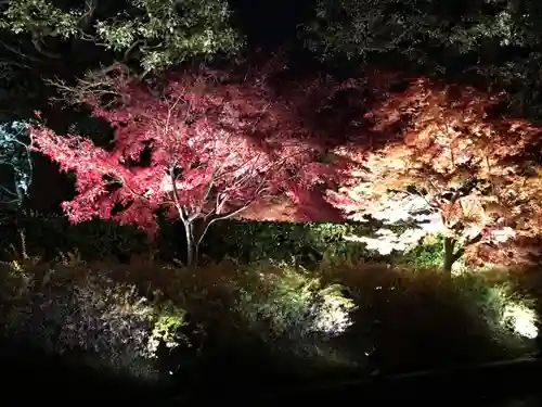 東寺（教王護国寺）(京都府)