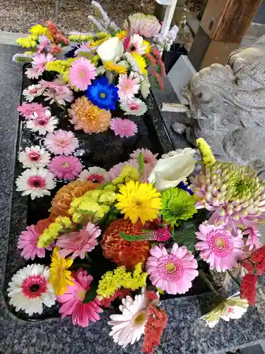 滑川神社 - 仕事と子どもの守り神(福島県)