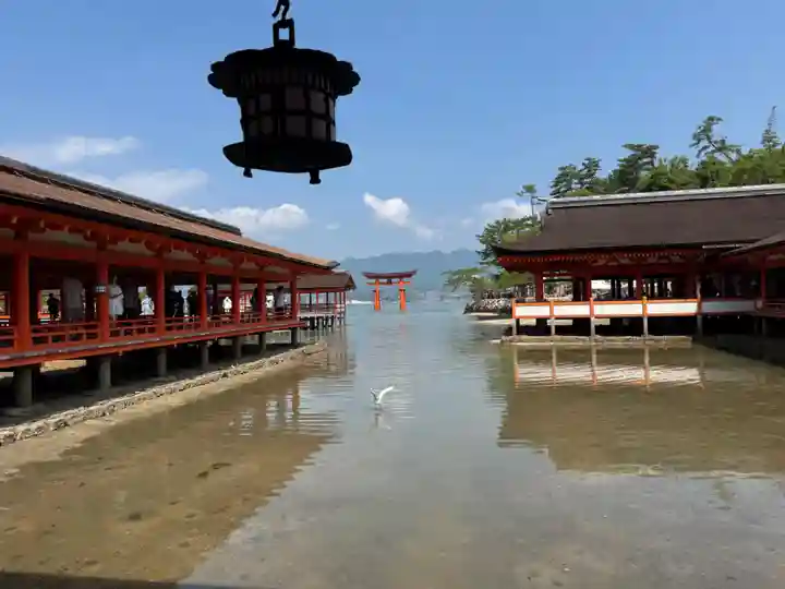 厳島神社(広島県)