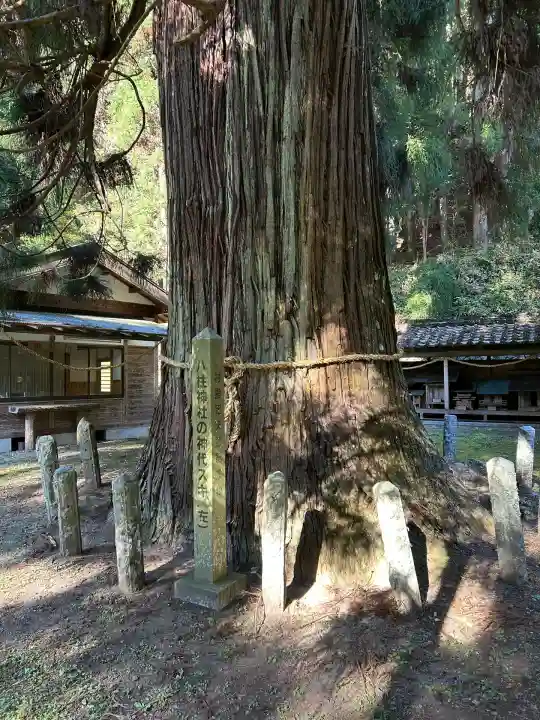 八柱神社(長野県)