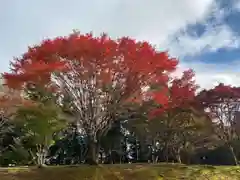 比叡山延暦寺(滋賀県)