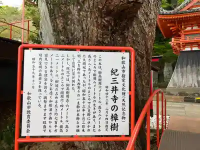 金剛宝寺（紀三井寺）(和歌山県)