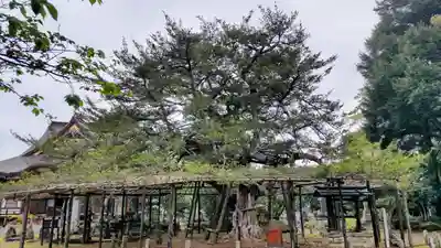 鏡忍寺(千葉県)