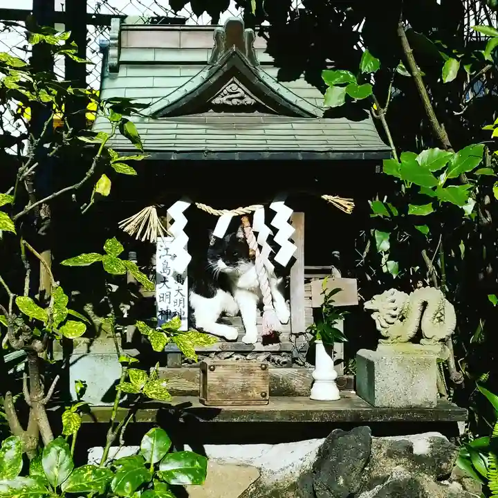 柳森神社の動物
