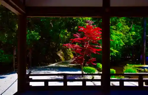 賀茂別雷神社（上賀茂神社）の庭園