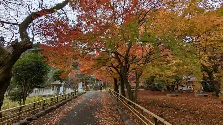 岩屋寺(京都府)