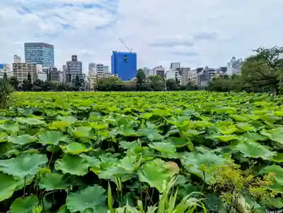 寛永寺不忍池弁天堂(東京都)