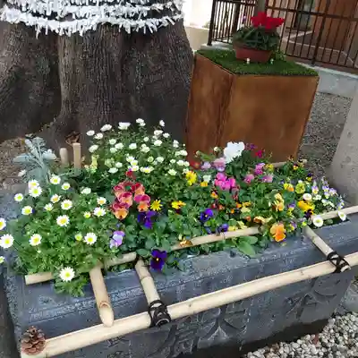 目黒富士浅間神社の手水舎