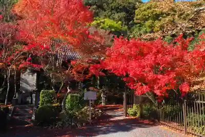 善法律寺(京都府)
