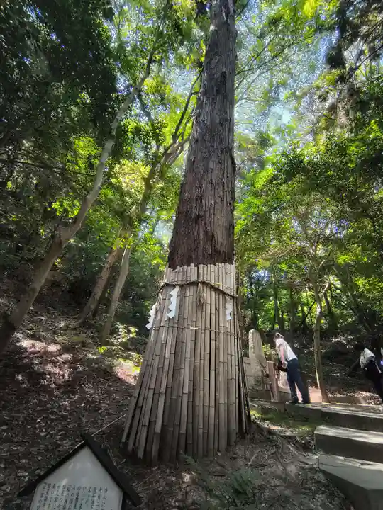 星田妙見宮(大阪府)