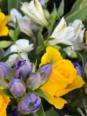 上尾御嶽神社の手水舎