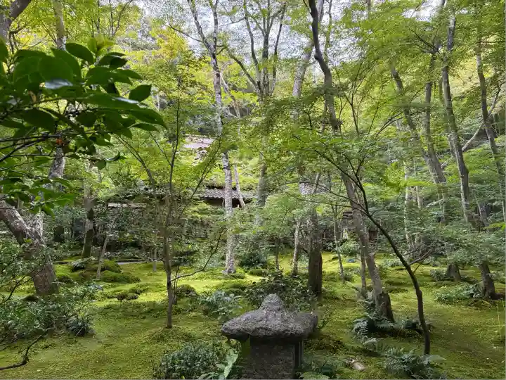 祇王寺(京都府)