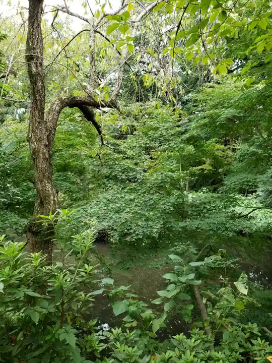 蓮華寺(東京都)