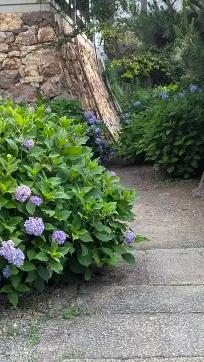柳谷観音 楊谷寺(京都府)