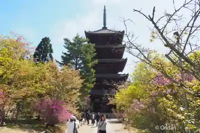 仁和寺(京都府)