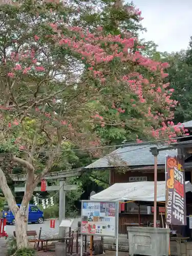 賀茂別雷神社(栃木県)