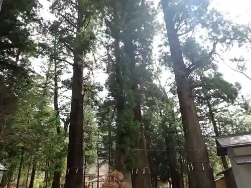 河口浅間神社(山梨県)