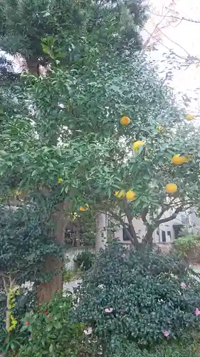 蛇窪神社の自然