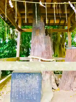 大生郷天満宮の歴史