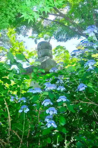 高幡不動尊　金剛寺(東京都)