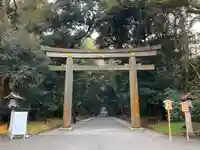 明治神宮の鳥居
