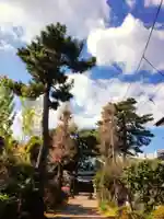 田端神社(東京都)