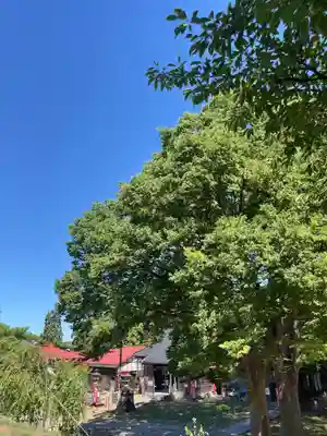 安禅寺(新潟県)