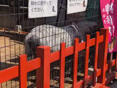 神田神社（神田明神）(東京都)