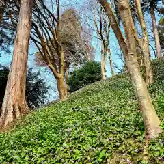 香積寺(愛知県)