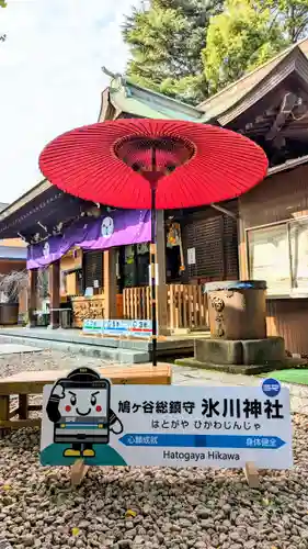 鳩ヶ谷氷川神社(埼玉県)