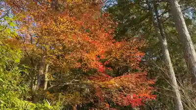 圓光寺(京都府)