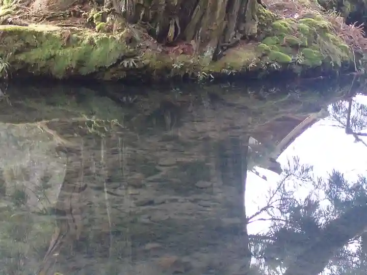 一本杉神社(島根県)