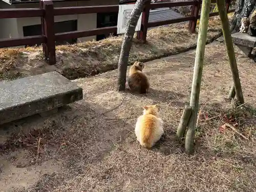 千光寺(広島県)