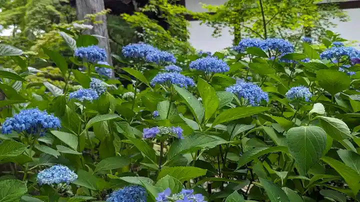 真正極楽寺(真如堂)(京都府)