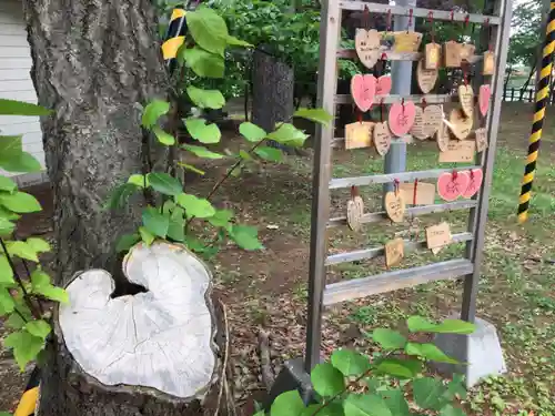 大谷地神社の自然