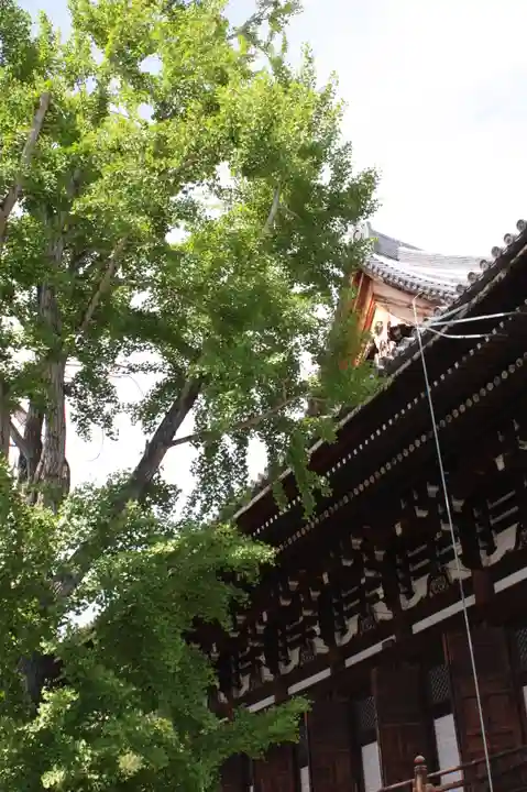くろ谷 金戒光明寺(京都府)